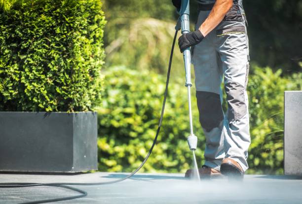 Best Playground Equipment Cleaning  in Crowley Lake, CA