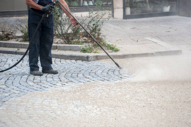Best Patio and Deck Pressure Washing  in Crowley Lake, CA