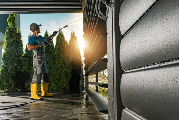 Best Roof Washing  in Crowley Lake, CA